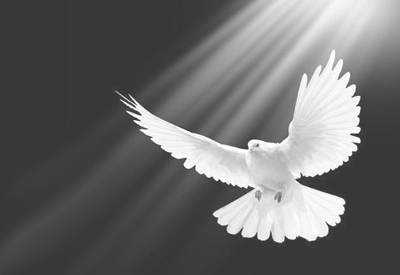 Visit of Holy Spirit