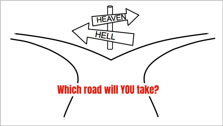 Which Road Will You Take?