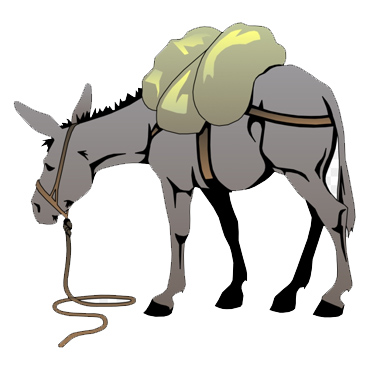 Borrowed Donkey