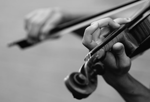 Husband on the Fiddle