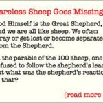 Careless Wandering Sheep