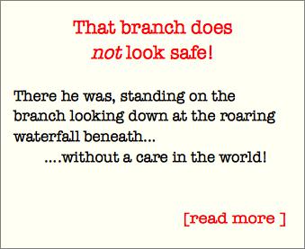 The branch does not look safe!