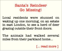 Santa Deer