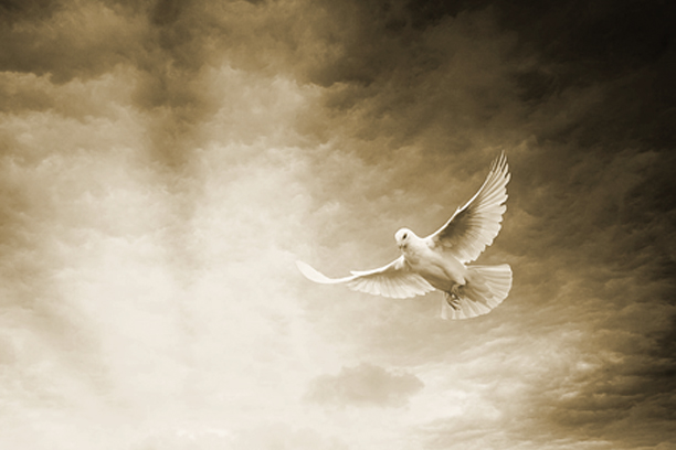 Holy Spirit