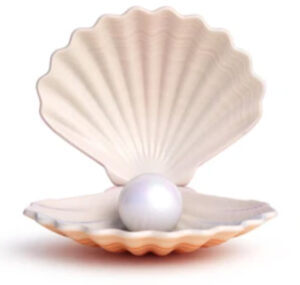 Shellpearl