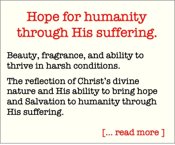 Hope For Humanity