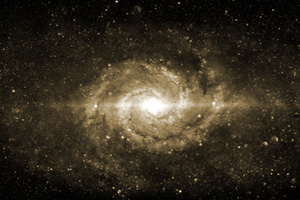 Cosmos